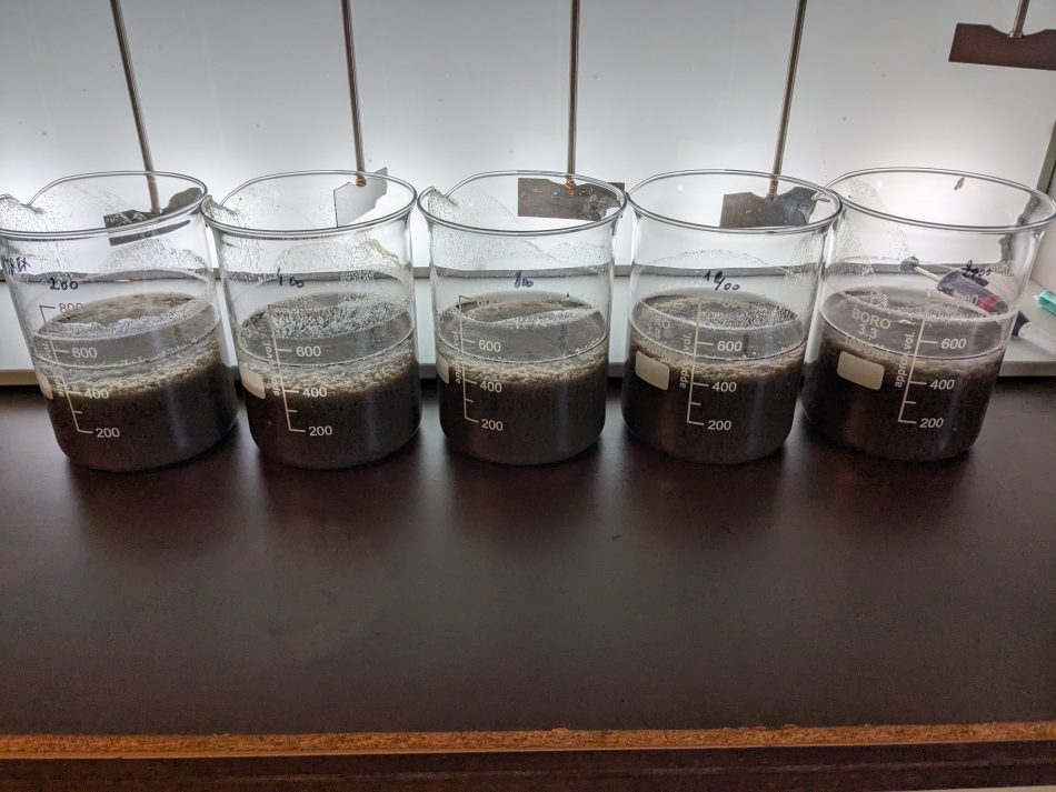 Production de biofloculants bactériens