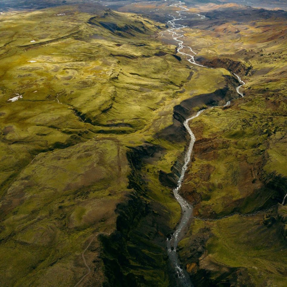 Mettre la bioéconomie au cœur des entreprises de toutes tailles et faire de notre région un exemple de développement économique, social et environnement harmonieux.