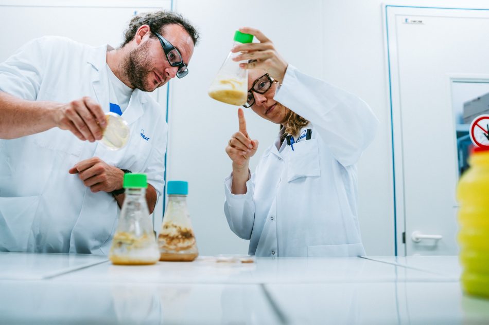 Catalyse enzymatique pour la production d’ingrédients actifs santé