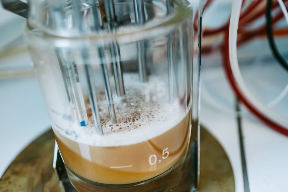 Production de building blocks et intermédiaires par fermentation en voie liquide