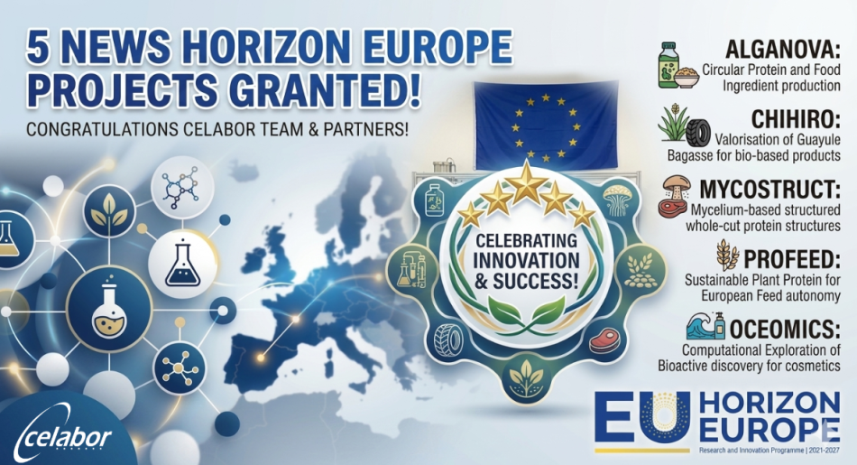 🚀 Horizon Europe : Celabor décroche 5 nouveaux projets majeurs pour accélérer la transition écologique