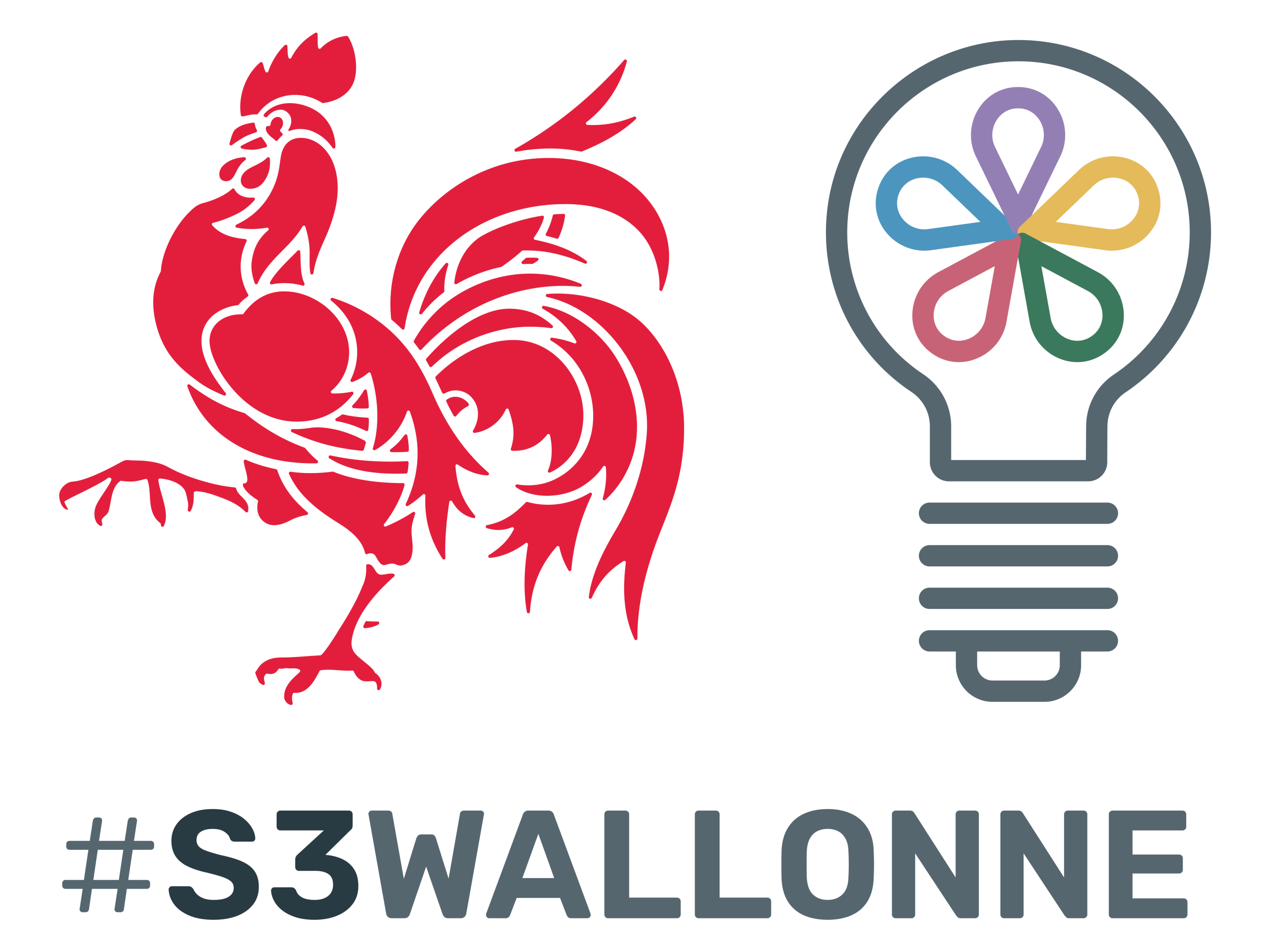 S3 Wallonne