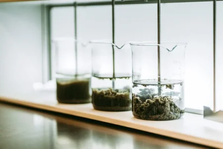 A new natural and biodegradable flocculant for wastewater treatment plant sludge settling? Focus on the latest advances in BIOFLOC research