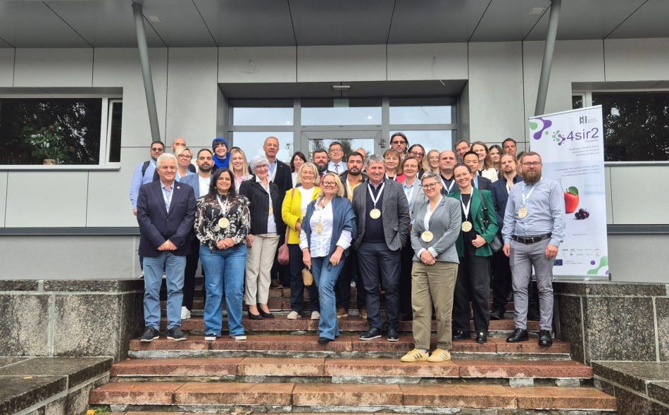 One year of collaboration in the 4Sir2 project !
